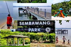 Sembawang Straits Estate (D27), Semi-Detached #119686062